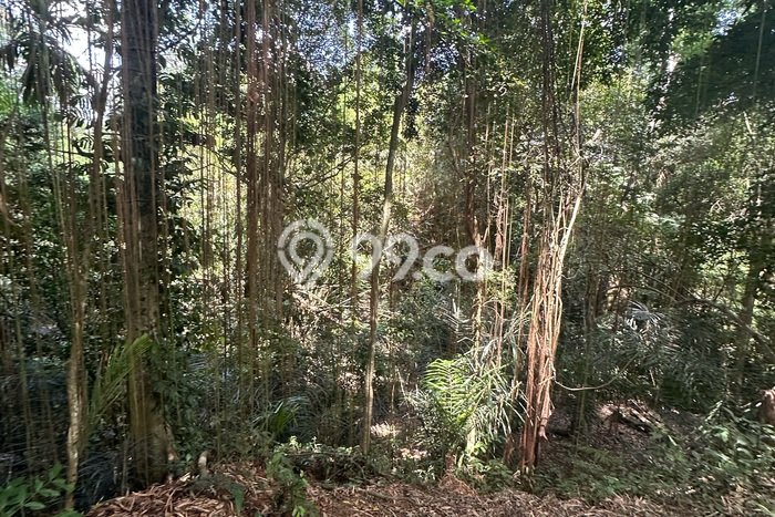 Disewakan Tanah di Ubud, Luas 700m², Akses Mudah, Area Strategis Disewakan Tanah di Ubud, Luas 700m², Akses Mudah, Area Strategis
