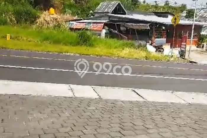 Tanah Kavling Disewakan di Bedugul dengan Luas 1000m2 Tanah Kavling Disewakan di Bedugul dengan Luas 1000m2