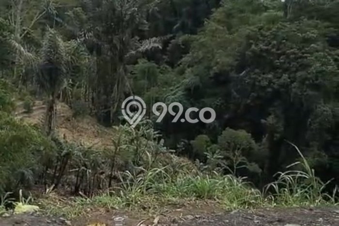 Lahan untuk Dijual di Kintamani Bangli Luas 150m2 Lahan untuk Dijual di Kintamani Bangli Luas 150m2