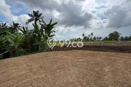 Tanah Dijual Area Strategis di Pejeng Gianyar 660m2 Tanah Dijual Area Strategis di Pejeng Gianyar 660m2
