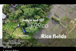 Tanah Kavling untuk Disewa di Ubud Gianyar 3000m2 Tanah Kavling untuk Disewa di Ubud Gianyar 3000m2