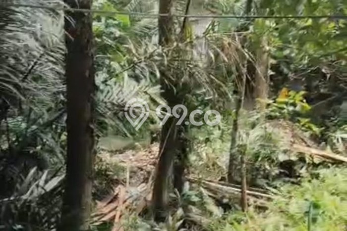 Tanah untuk Disewakan di Ubud Gianyar SHM Tanah untuk Disewakan di Ubud Gianyar SHM