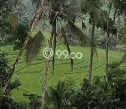 Kavling Tanah untuk Dijual di Pupuansawah, Tabanan, Luas 2820m2 Kavling Tanah untuk Dijual di Pupuansawah, Tabanan, Luas 2820m2