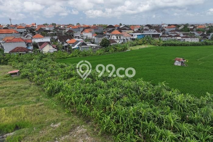 Tanah Disewakan Lokasi Badung Seluas 1550m2 Strategis dan Aman Tanah Disewakan Lokasi Badung Seluas 1550m2 Strategis dan Aman