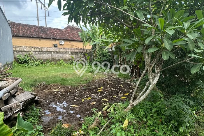Tanah Dijual Area Strategis di Guwang Gianyar 125m2 Tanah Dijual Area Strategis di Guwang Gianyar 125m2
