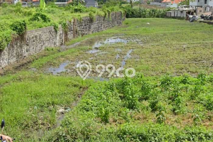 Tanah Kavling Disewakan di canggu dengan Luas 3000m2 Tanah Kavling Disewakan di canggu dengan Luas 3000m2