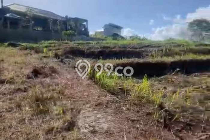 Dijual Tanah Lokasi Batuan, Gianyar Seluas 738m2 Dijual Tanah Lokasi Batuan, Gianyar Seluas 738m2
