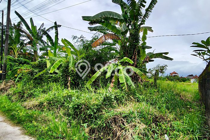 Tanah Komersial Dijual di Tabanan Tabanan 200m2 Tanah Komersial Dijual di Tabanan Tabanan 200m2