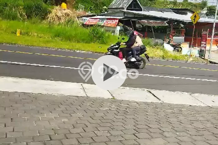 Tanah Kavling Disewakan di Bedugul dengan Luas 1000m2 Tanah Kavling Disewakan di Bedugul dengan Luas 1000m2