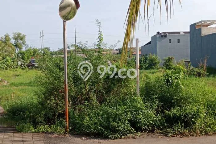 Tanah Disewa Strategis di Denpasar Luas 3500m2 Tanah Disewa Strategis di Denpasar Luas 3500m2