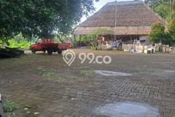 Lahan untuk Disewakan di Ubud Gianyar SHM Lahan untuk Disewakan di Ubud Gianyar SHM