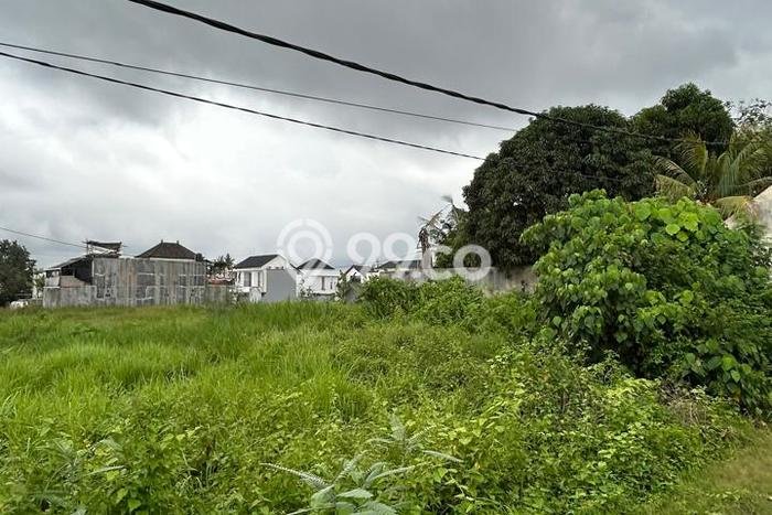 Tanah di Kedungu, Luas 498m², Area Potensial, Lingkungan Nyaman, Kontur Datar Tanah di Kedungu, Luas 498m², Area Potensial, Lingkungan Nyaman, Kontur Datar