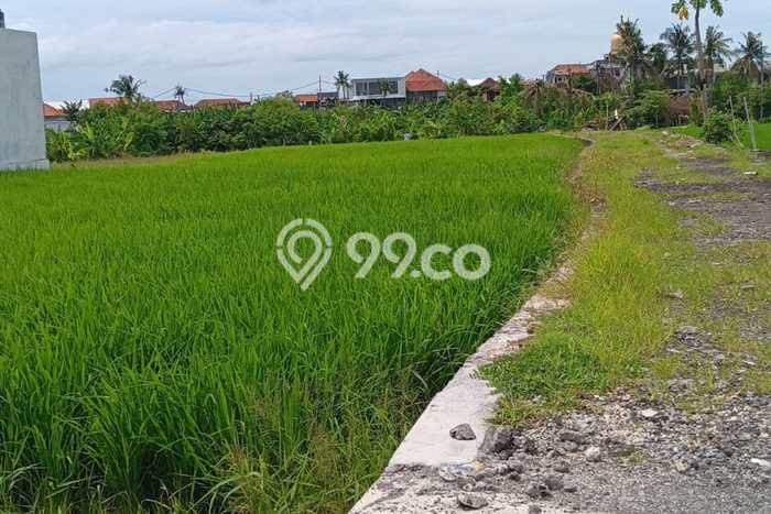 Tanah Kavling Dijual di Badung dengan Spesifikasi 2400m2 Tanah Kavling Dijual di Badung dengan Spesifikasi 2400m2