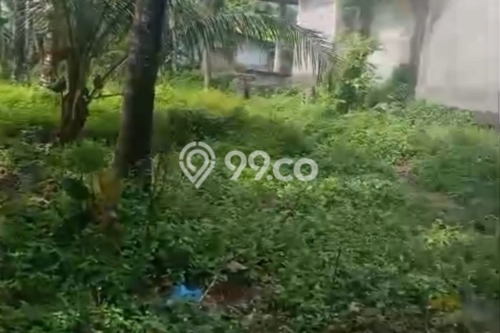 Tanah Disewakan di Ubud, Luas 1100m², Cocok untuk Usaha Tanah Disewakan di Ubud, Luas 1100m², Cocok untuk Usaha