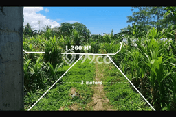 Lahan Strategis di Ubud Dijual dengan Luas 1260m2 Lahan Strategis di Ubud Dijual dengan Luas 1260m2