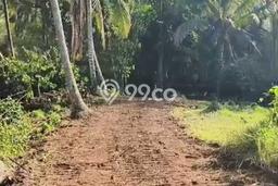Dijual Tanah 8500m2 di Megati, Tabanan Dijual Tanah 8500m2 di Megati, Tabanan