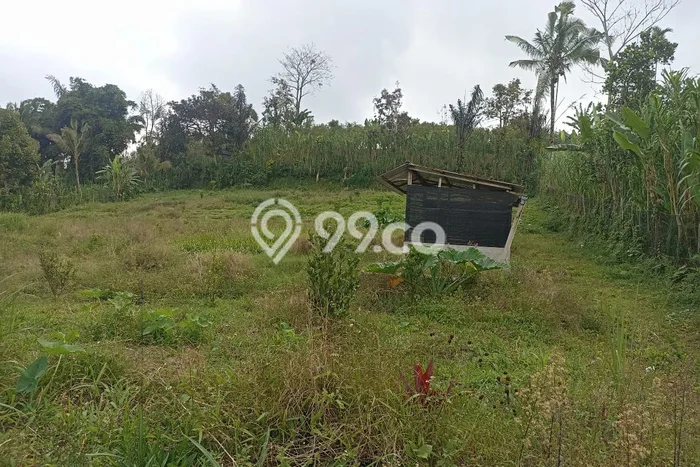 Tanah Kavling Dijual di Tabanan dengan Spesifikasi 5000m2 Tanah Kavling Dijual di Tabanan dengan Spesifikasi 5000m2