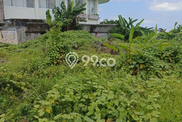 Tanah Disewakan Kawasan Umalas, Luas 385m², Ideal untuk Bisnis Tanah Disewakan Kawasan Umalas, Luas 385m², Ideal untuk Bisnis
