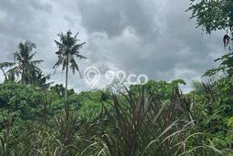 Lahan Sewa di Ubud Gianyar dengan Luas 1800m2 Lahan Sewa di Ubud Gianyar dengan Luas 1800m2