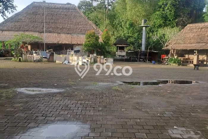 Lahan untuk Disewakan di Ubud Gianyar SHM Lahan untuk Disewakan di Ubud Gianyar SHM