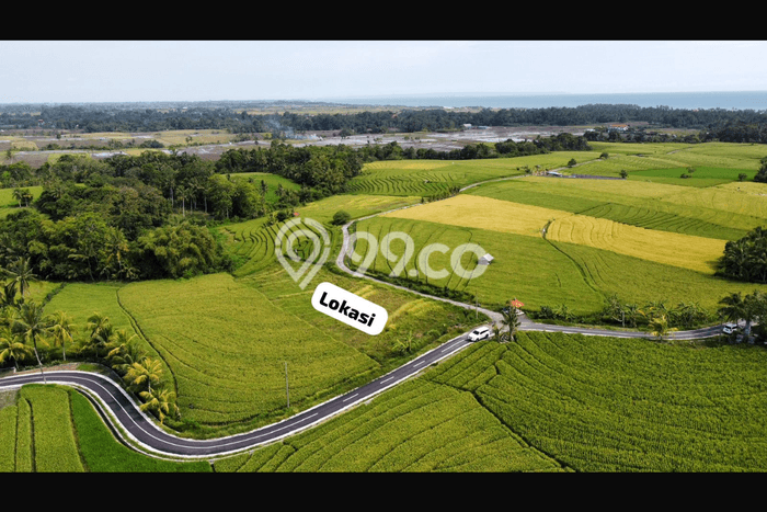 Tanah Kavling Dijual di Tabanan dengan Spesifikasi 2330m2 Tanah Kavling Dijual di Tabanan dengan Spesifikasi 2330m2