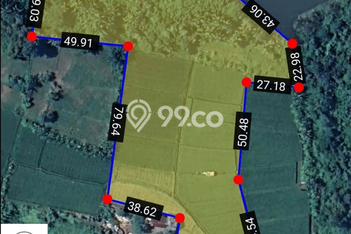 Jual Tanah di Ketewel, Luas 10000m², Kawasan Nyaman, Kontur Datar Jual Tanah di Ketewel, Luas 10000m², Kawasan Nyaman, Kontur Datar