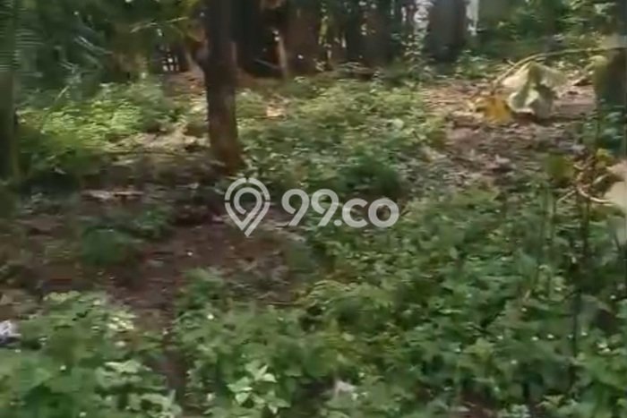 Tanah Disewakan di Ubud, Luas 1100m², Cocok untuk Usaha Tanah Disewakan di Ubud, Luas 1100m², Cocok untuk Usaha