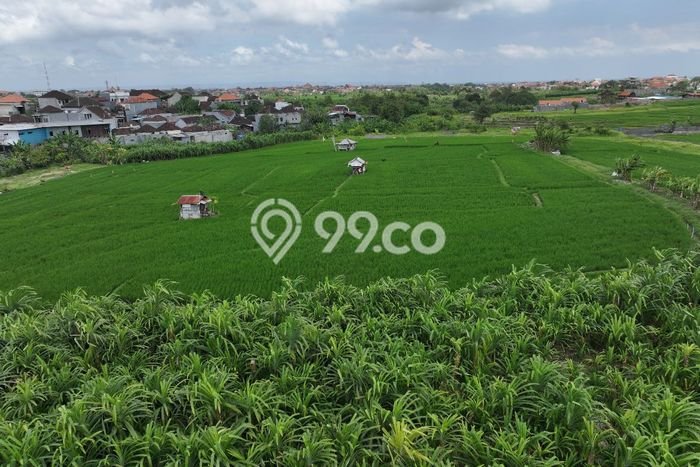 Tanah Disewakan Lokasi Badung Seluas 1550m2 Strategis dan Aman Tanah Disewakan Lokasi Badung Seluas 1550m2 Strategis dan Aman