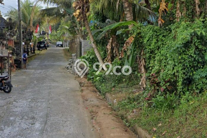 Tanah di Ubud, Luas 700m², Siap untuk Sewa Tanah di Ubud, Luas 700m², Siap untuk Sewa