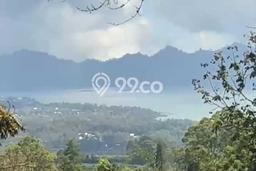 Lahan Disewakan di Kintamani, Bangli, Luas 1200m2 SHM Lahan Disewakan di Kintamani, Bangli, Luas 1200m2 SHM