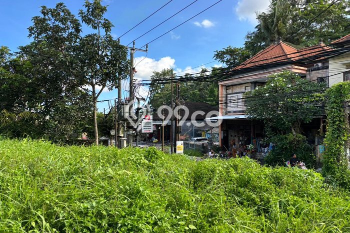 Tanah Strategis Disewakan di Ubud Gianyar Seluas 300m2 Tanah Strategis Disewakan di Ubud Gianyar Seluas 300m2