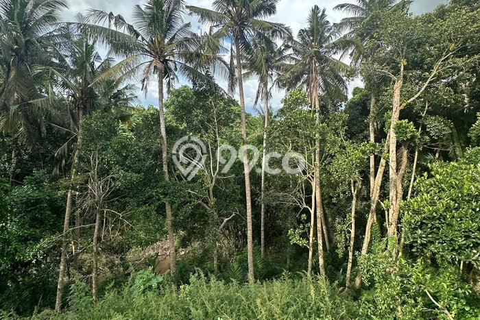 Tanah Investasi Dijual di Gianyar Punya Luas 180m2 Tanah Investasi Dijual di Gianyar Punya Luas 180m2