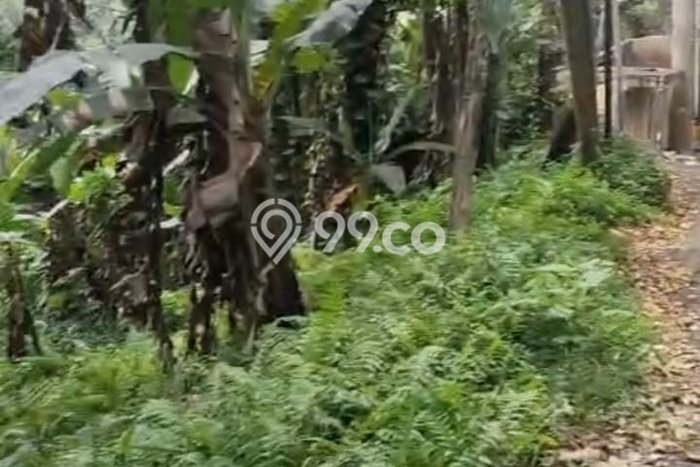 Paling Dicari! Kavling Tanah Disewakan di Ubud, Gianyar Paling Dicari! Kavling Tanah Disewakan di Ubud, Gianyar