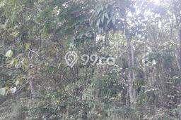 Tanah Dijual Lokasi Kalirejo, Lampung Tengah Luas 14833m2 Legalitas Aman Tanah Dijual Lokasi Kalirejo, Lampung Tengah Luas 14833m2 Legalitas Aman