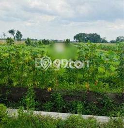 Tanah di Pare, Kediri Luas 3932m2 Dijual Segera Tanah di Pare, Kediri Luas 3932m2 Dijual Segera