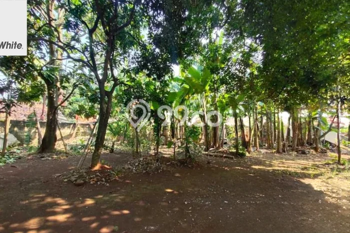 Untuk Dijual Tanah di Jakarta Selatan, Luas 1516m2 SHM Untuk Dijual Tanah di Jakarta Selatan, Luas 1516m2 SHM