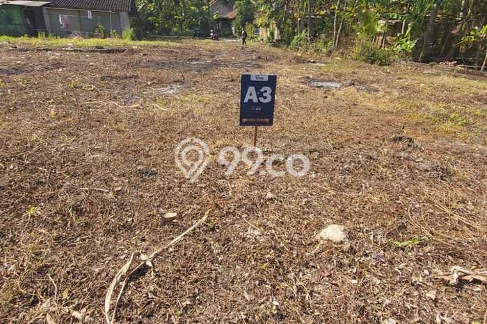 Tanah 1 Jutaan Wates Tepi Jalan Gotakan Cocok Untuk Investasi Tanah 1 Jutaan Wates Tepi Jalan Gotakan Cocok Untuk Investasi