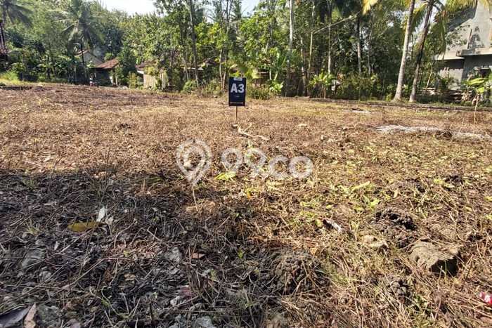 Tanah 1 Jutaan Wates Tepi Jalan Gotakan Cocok Untuk Investasi Tanah 1 Jutaan Wates Tepi Jalan Gotakan Cocok Untuk Investasi
