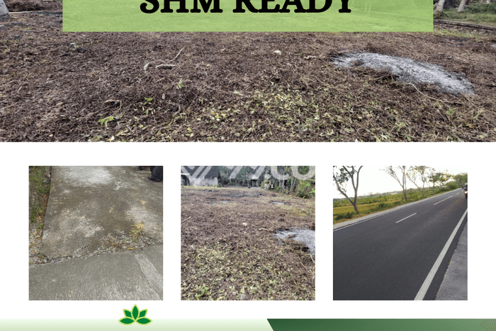 Tanah Termurah Wates Pinggir Jalan Nagung Brosot All In Tanah Termurah Wates Pinggir Jalan Nagung Brosot All In