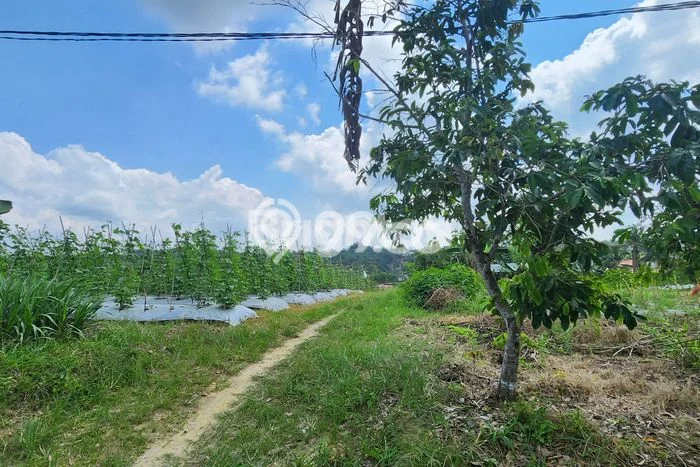 Tanah Dijual di Kutai Kartanegara Seluas 16242m2 Strategis Tanah Dijual di Kutai Kartanegara Seluas 16242m2 Strategis