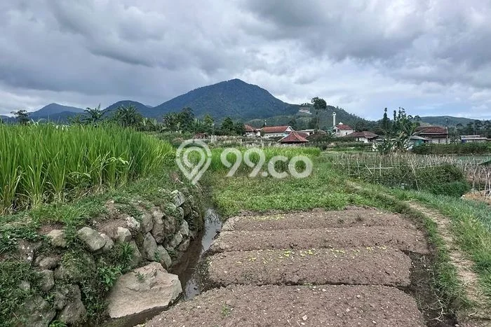Lahan untuk Dijual di Ciwidey Bandung Luas 6900m2 Lahan untuk Dijual di Ciwidey Bandung Luas 6900m2