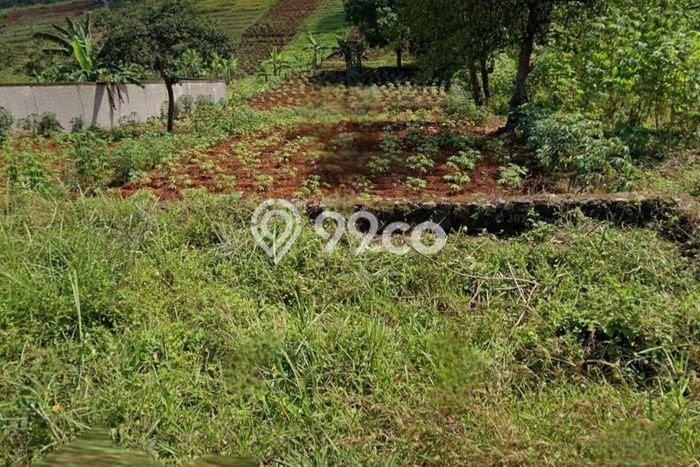 Lahan Kosong Dijual di Bandung dengan Area 1130m2 Lahan Kosong Dijual di Bandung dengan Area 1130m2