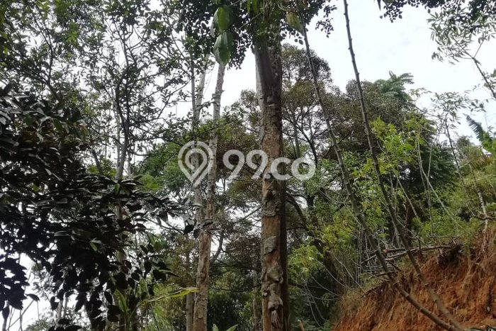 Tanah Siap Bangun Dijual di Bandung Punya Luas 1400m2 Tanah Siap Bangun Dijual di Bandung Punya Luas 1400m2