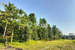 Tanah Dijual Lokasi Rangkasbitung, Lebak dengan Luas Tanah 16690m2 dan Status - Tanah Dijual Lokasi Rangkasbitung, Lebak dengan Luas Tanah 16690m2 dan Status -