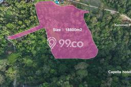Lahan Kosong Dijual di Gianyar dengan Area 18800m2 Lahan Kosong Dijual di Gianyar dengan Area 18800m2