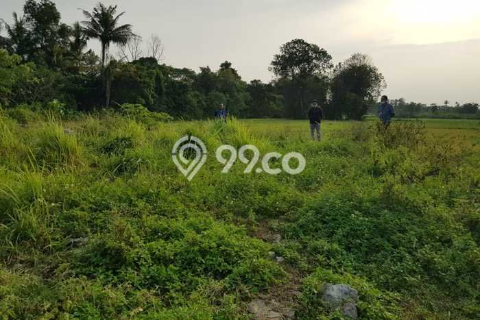 Kavling Tanah di Sindang Jaya Dijual Luas 1050m2 Legalitas SHM Kavling Tanah di Sindang Jaya Dijual Luas 1050m2 Legalitas SHM