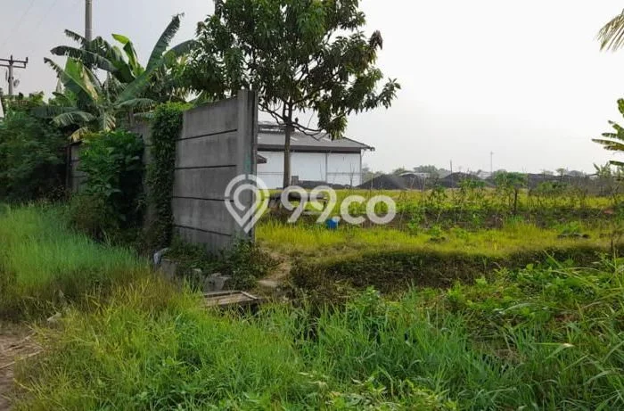 Tanah Komersial Dijual di Cikande Serang 29000m2 Tanah Komersial Dijual di Cikande Serang 29000m2