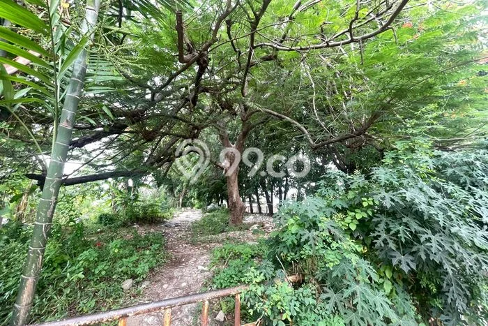 Tanah Disewa di Kedoya Strategis dan Memiliki Luas 5000m2 Tanah Disewa di Kedoya Strategis dan Memiliki Luas 5000m2