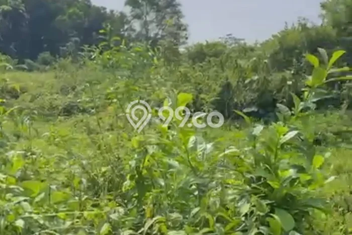 Tanah Siap Bangun Dijual di Purwakarta Punya Luas 13000m2 Tanah Siap Bangun Dijual di Purwakarta Punya Luas 13000m2
