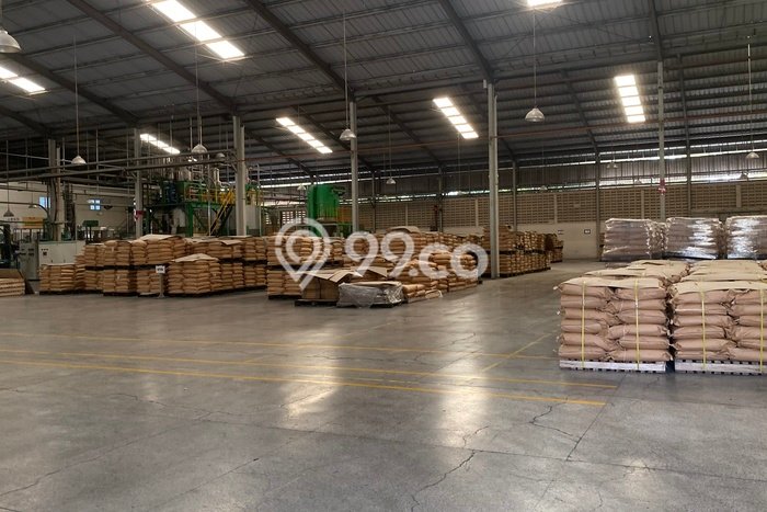 Gudang Dijual Lokasi Emas di Balaraja Luas 19000m2 Gudang Dijual Lokasi Emas di Balaraja Luas 19000m2
